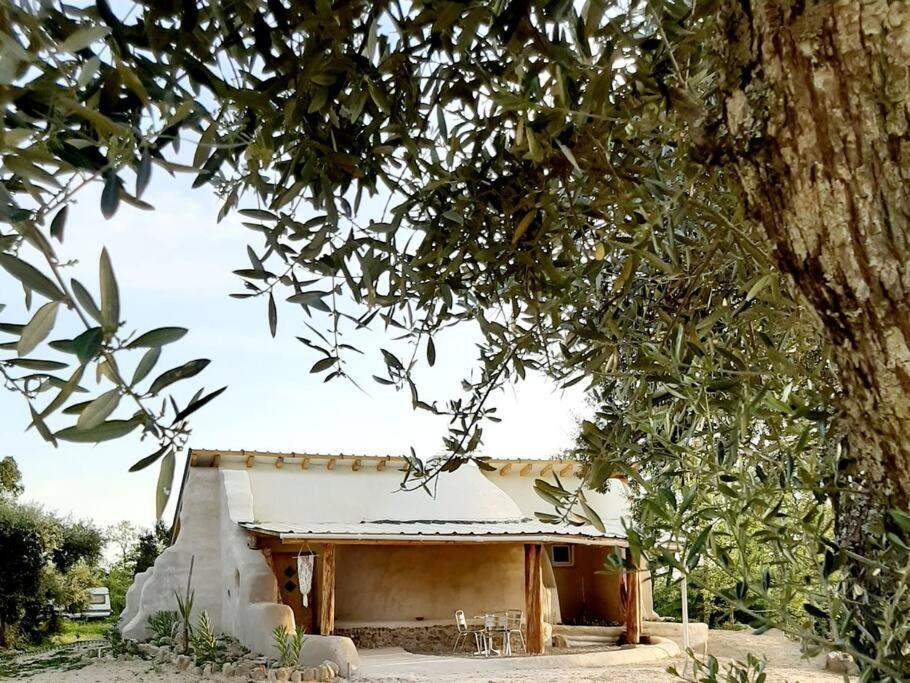 Quinta Terramadome: Dome Incomum & Responsavel Villa Penamacor Ngoại thất bức ảnh