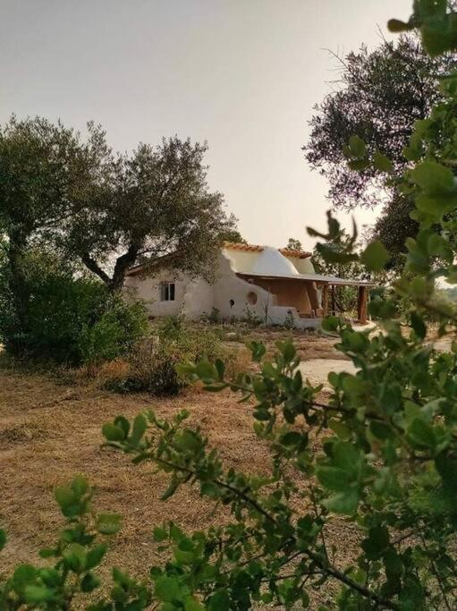 Quinta Terramadome: Dome Incomum & Responsavel Villa Penamacor Ngoại thất bức ảnh